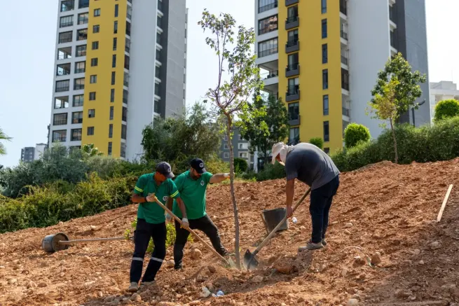 Yenişehir’de bunaltan sıcaklara yeşil reçete