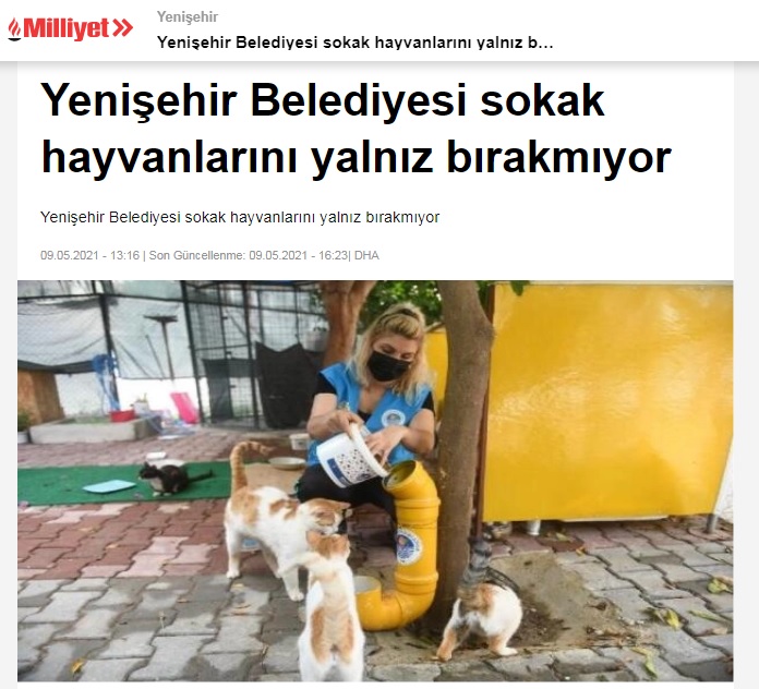 Yenişehir Belediyesi sokak hayvanlarını yalnız bırakmıyor