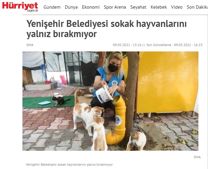 Yenişehir Belediyesi sokak hayvanlarını yalnız bırakmıyor