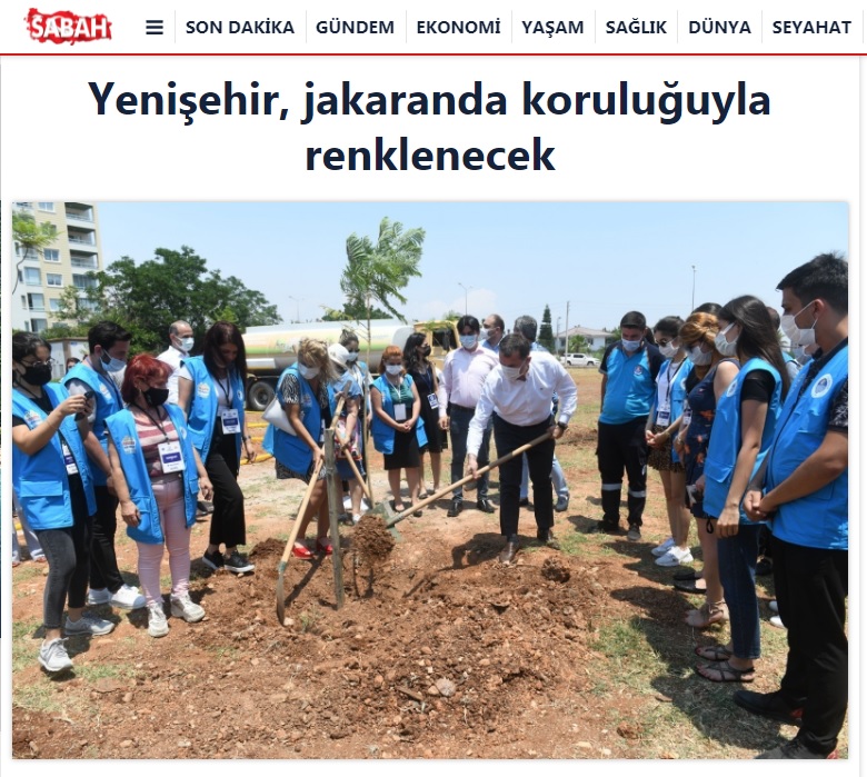 Yenişehir’de jakaranda koruluğu oluşturuldu