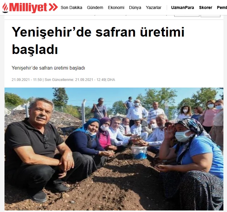 Dünyanın en pahalı bitkisi için Yenişehir’de üretim başladı