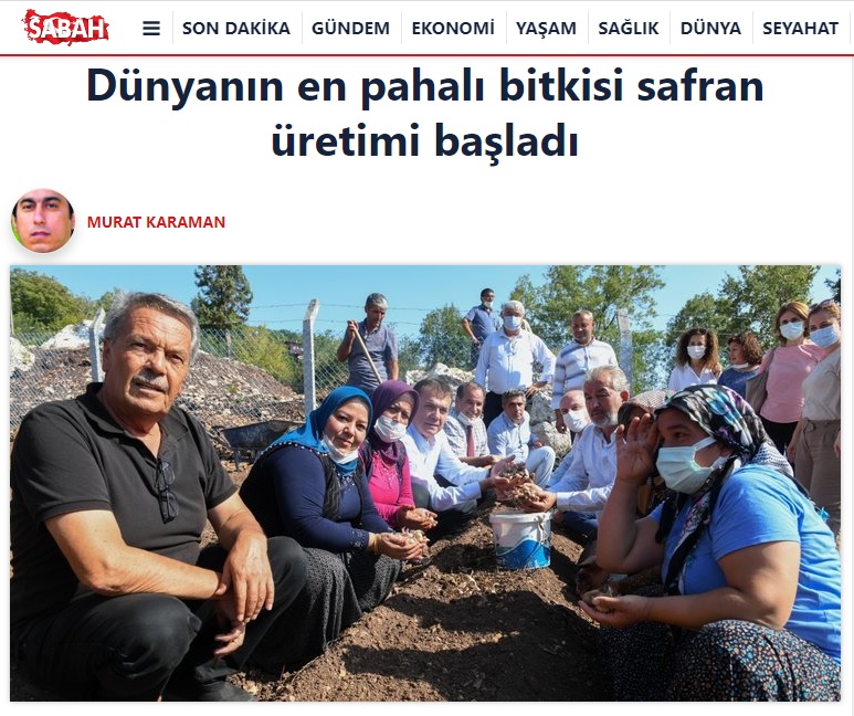 Dünyanın en pahalı bitkisi için Yenişehir’de üretim başladı