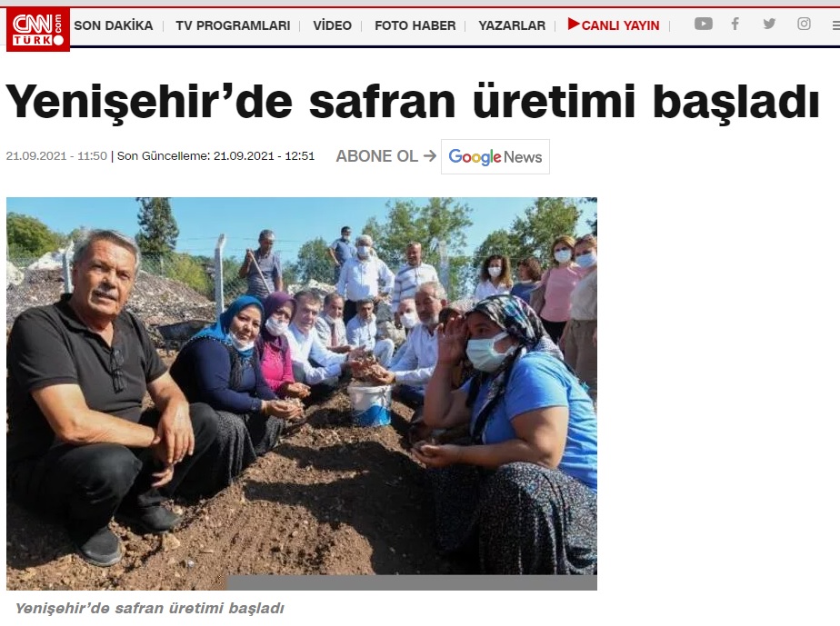 Dünyanın en pahalı bitkisi için Yenişehir’de üretim başladı