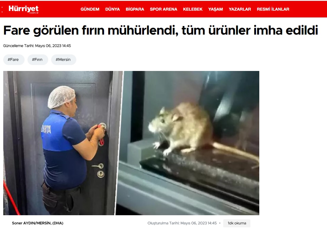 Fare görülen fırın mühürlendi, tüm ürünler imha edildi