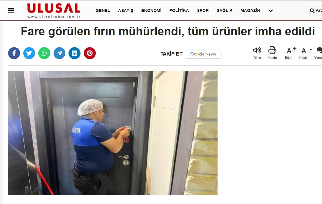 Fare görülen fırın mühürlendi, tüm ürünler imha edildi