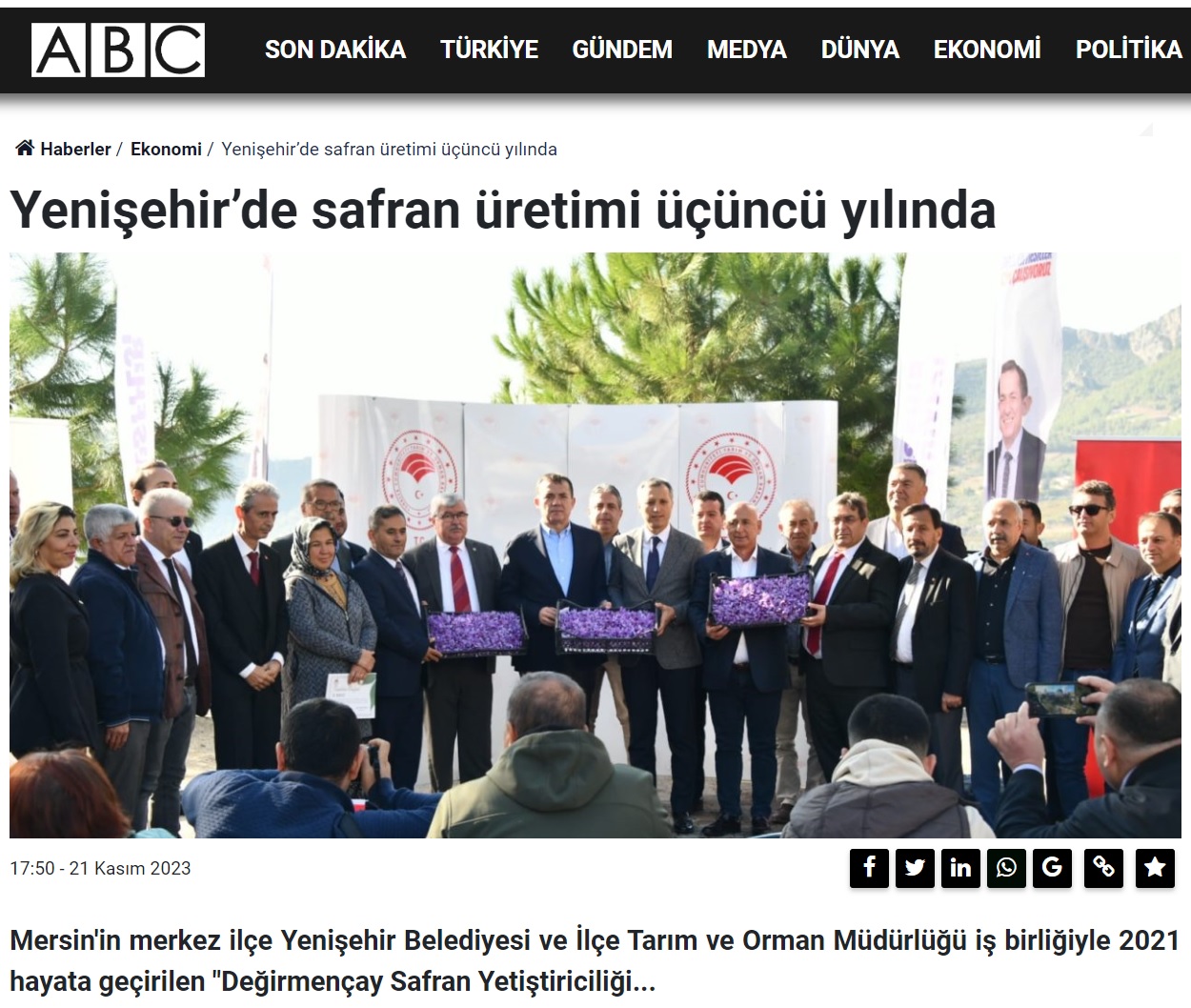 Yenişehir’de safran üretimi üçüncü yılında