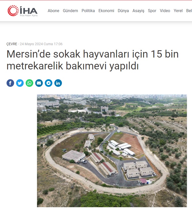 Yenişehir Belediyesi sokak hayvanları için 15 bin metrekarelik bakımevi oluşturdu