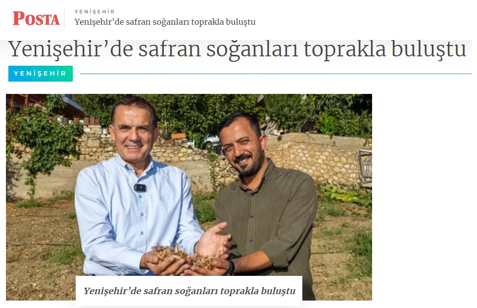 Yenişehir Belediyesinin hibe ettiği safran soğanları toprakla buluştu