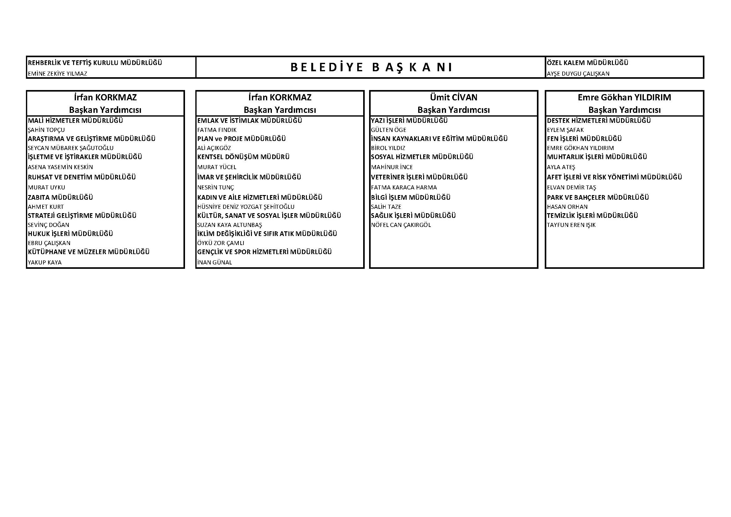 Organizasyon şeması