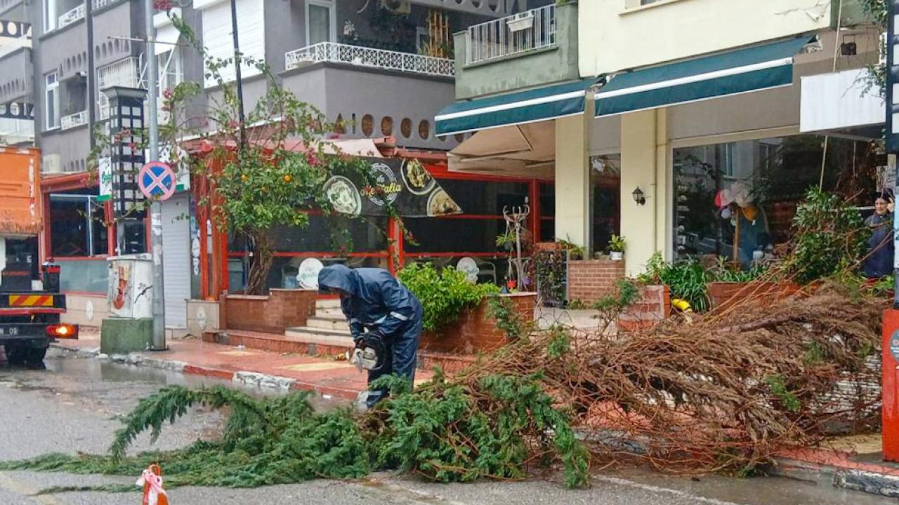 Yenişehir Belediyesi fırtınaya karşı seferber oldu!