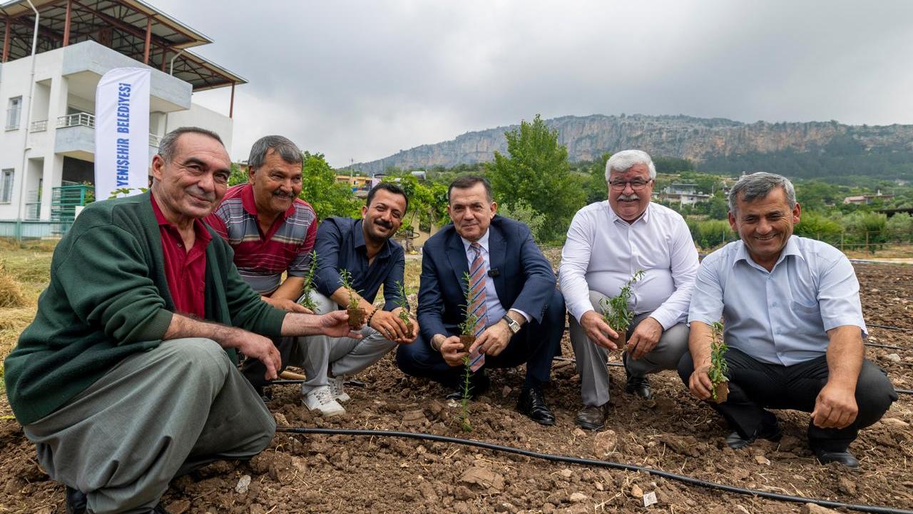 Yenişehir’de katma değerli tarım dönemi