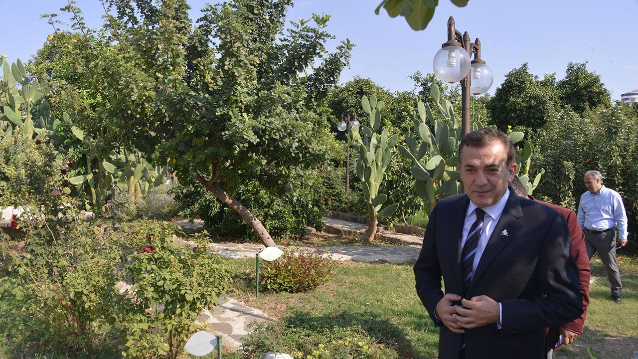 Belediye Bahçesinde Narenciye Yetişiyor