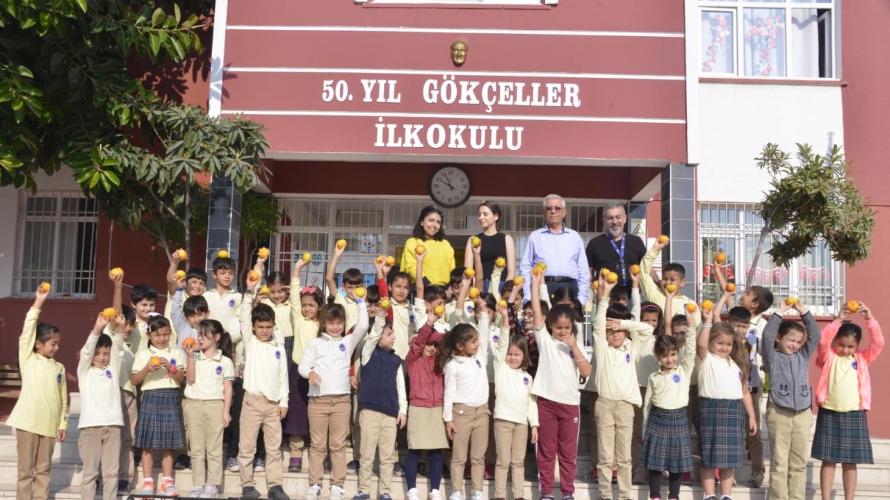 Yenişehir Festivale Hazır