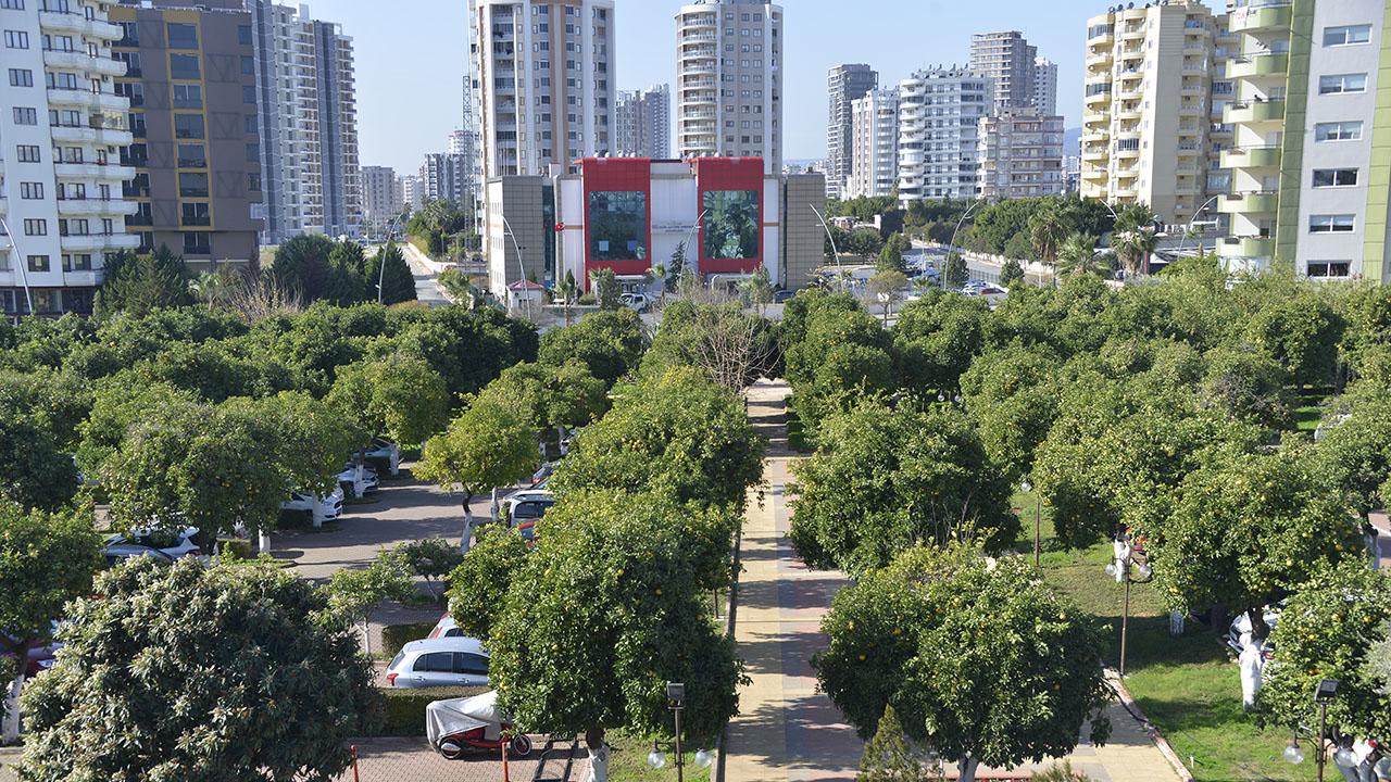 Belediye Bahçesinden Aşevine