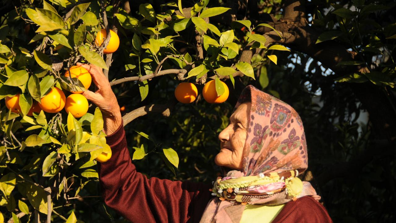 Yenişehir Tarımsal Kalkınma Kooperatifi Kuruluyor