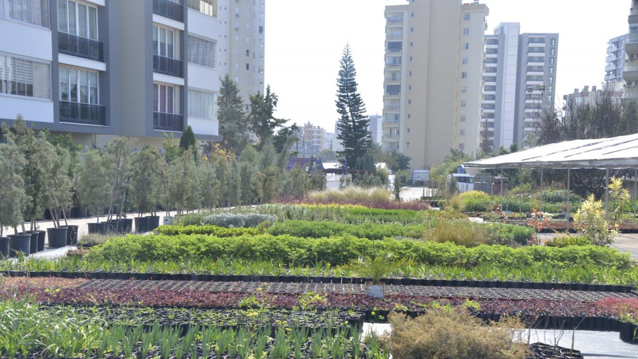 Yenişehir Belediyesi Yenişehir’i Renklendiriyor