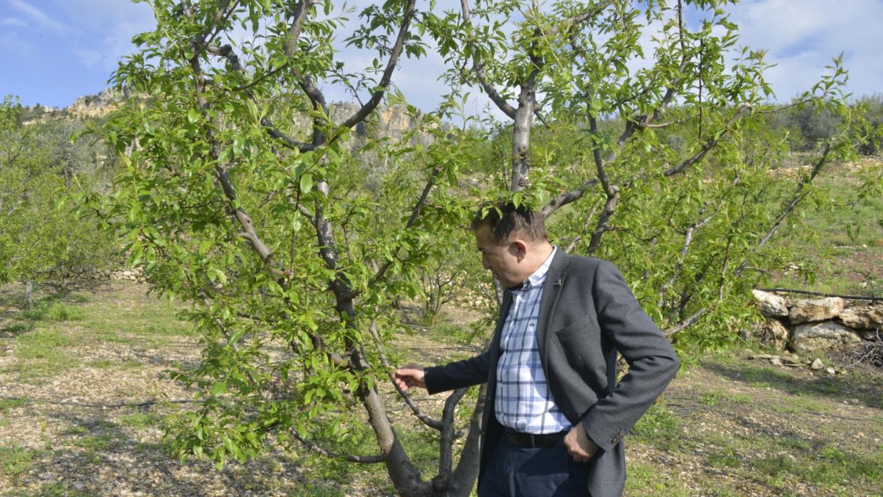Başkan Özyiğit, Afetzede Üreticileri Ziyaret Etti