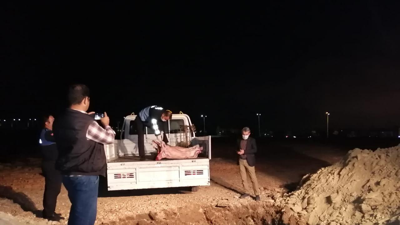 Yenişehir Zabıtadan Kaçak Et Operasyonu