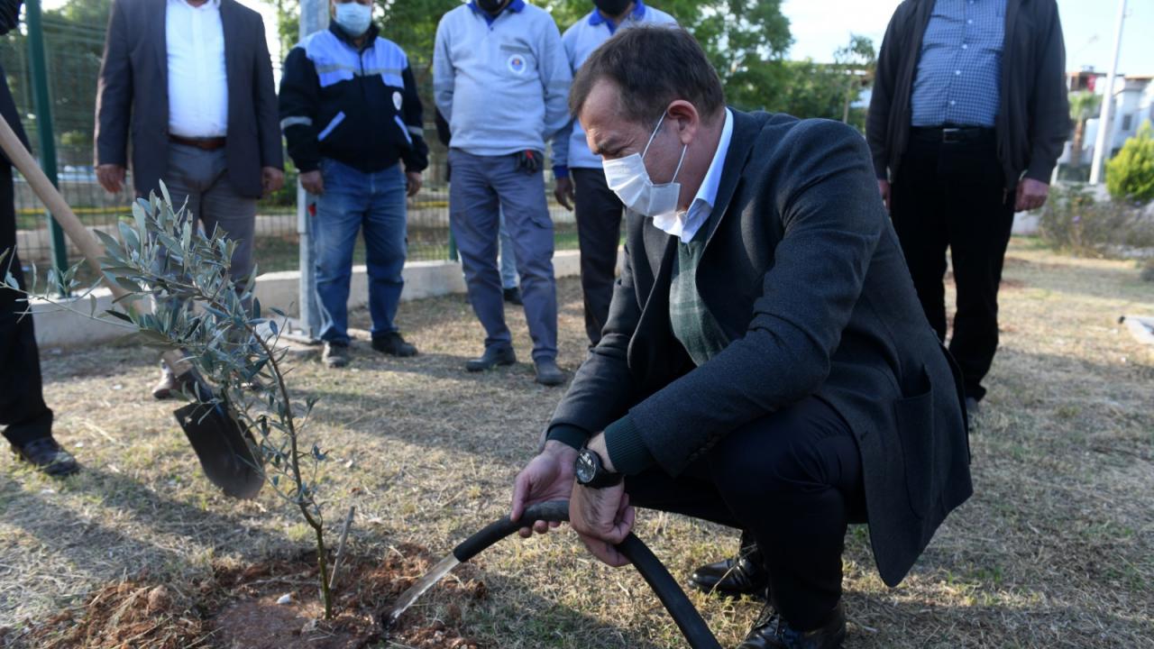 Yenişehir’deki okullarda 1000 zeytin fidanı toprakla buluştu