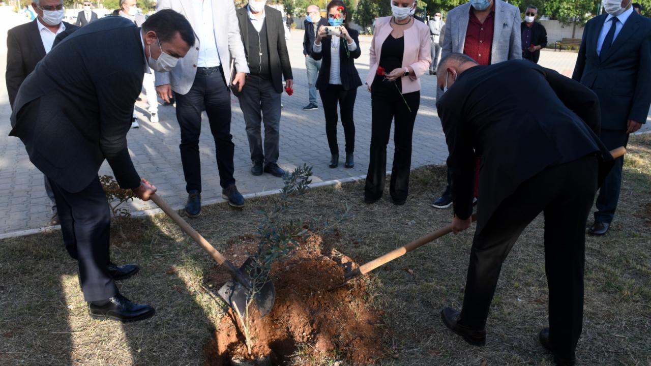 Yenişehir’deki okullarda 1000 zeytin fidanı toprakla buluştu