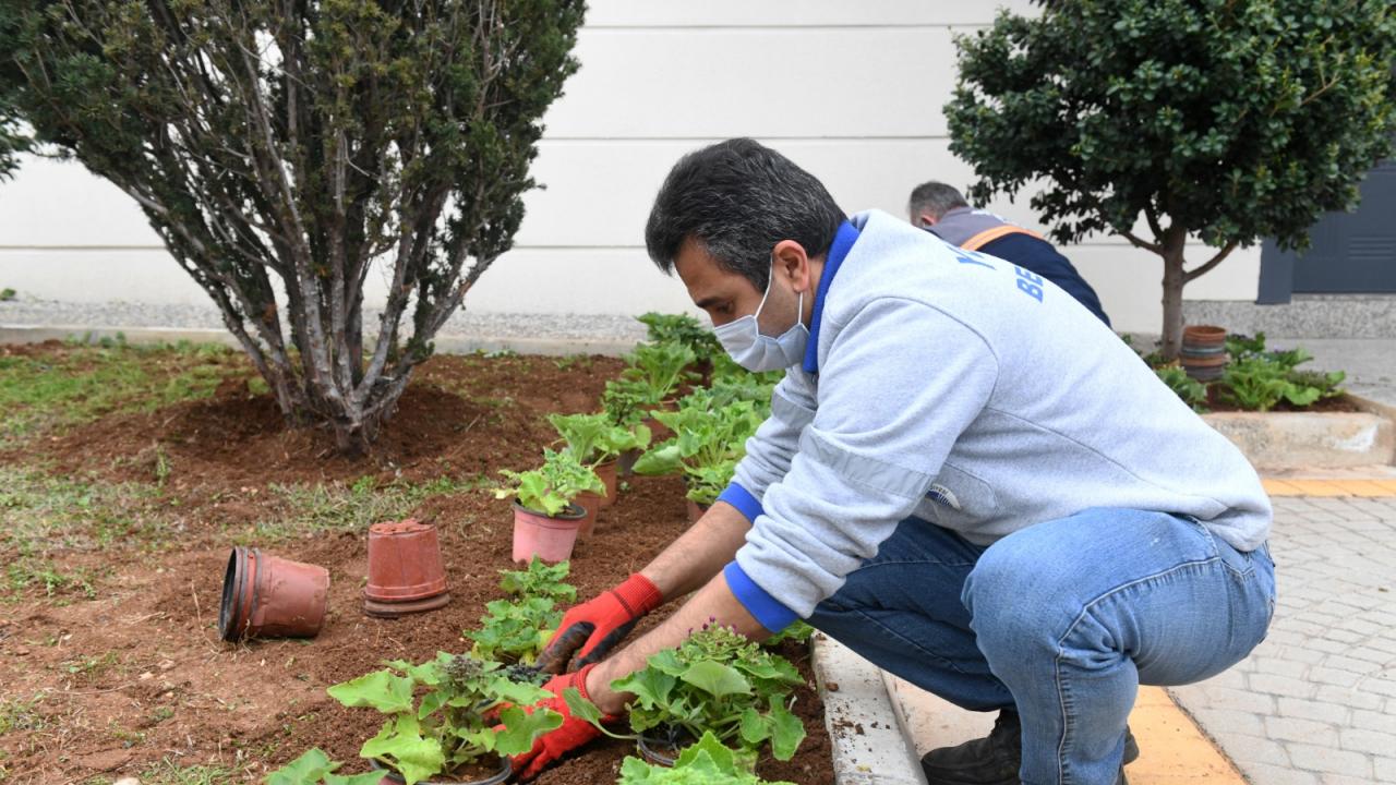 Yenişehir Belediyesi fidanlığı üretiyor kent yeşilleniyor