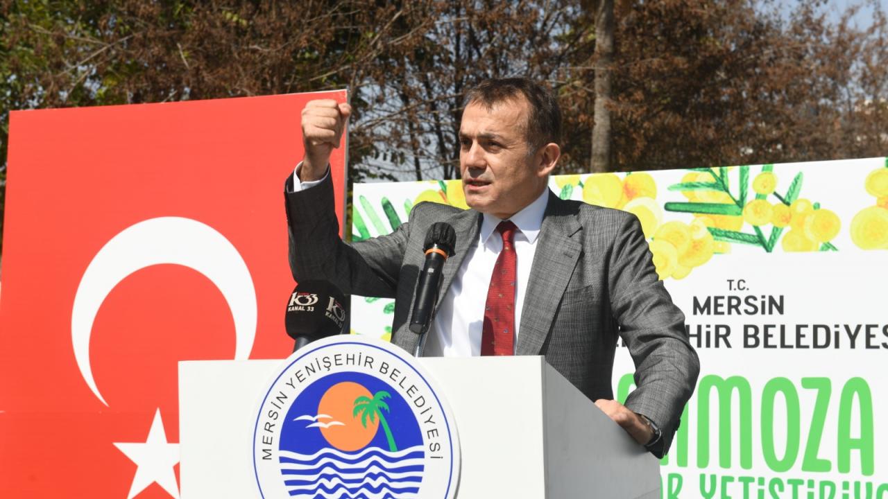 Mimozalar Yenişehir’de toprakla buluştu