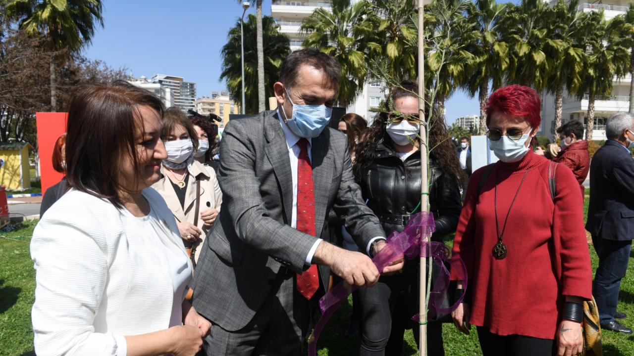 Mimozalar Yenişehir’de toprakla buluştu