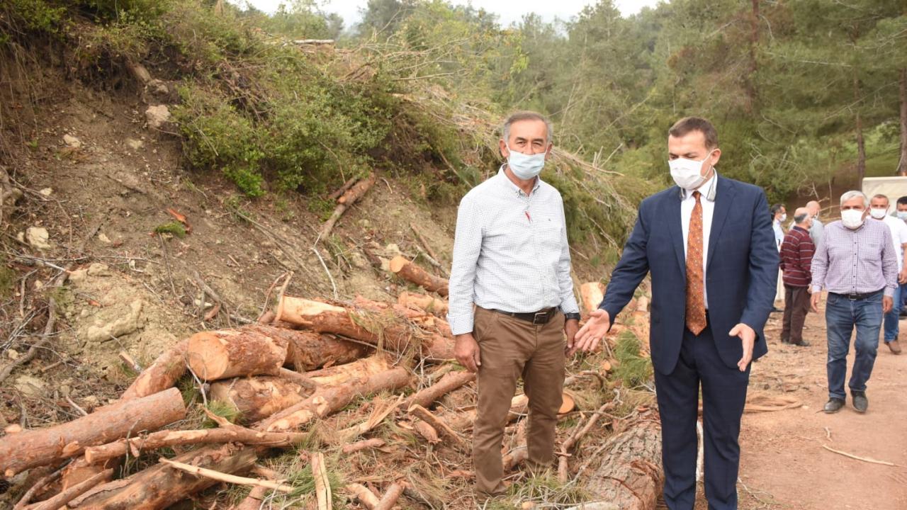 Başkan Özyiğit, ağaç kesimlerini yerinde inceledi