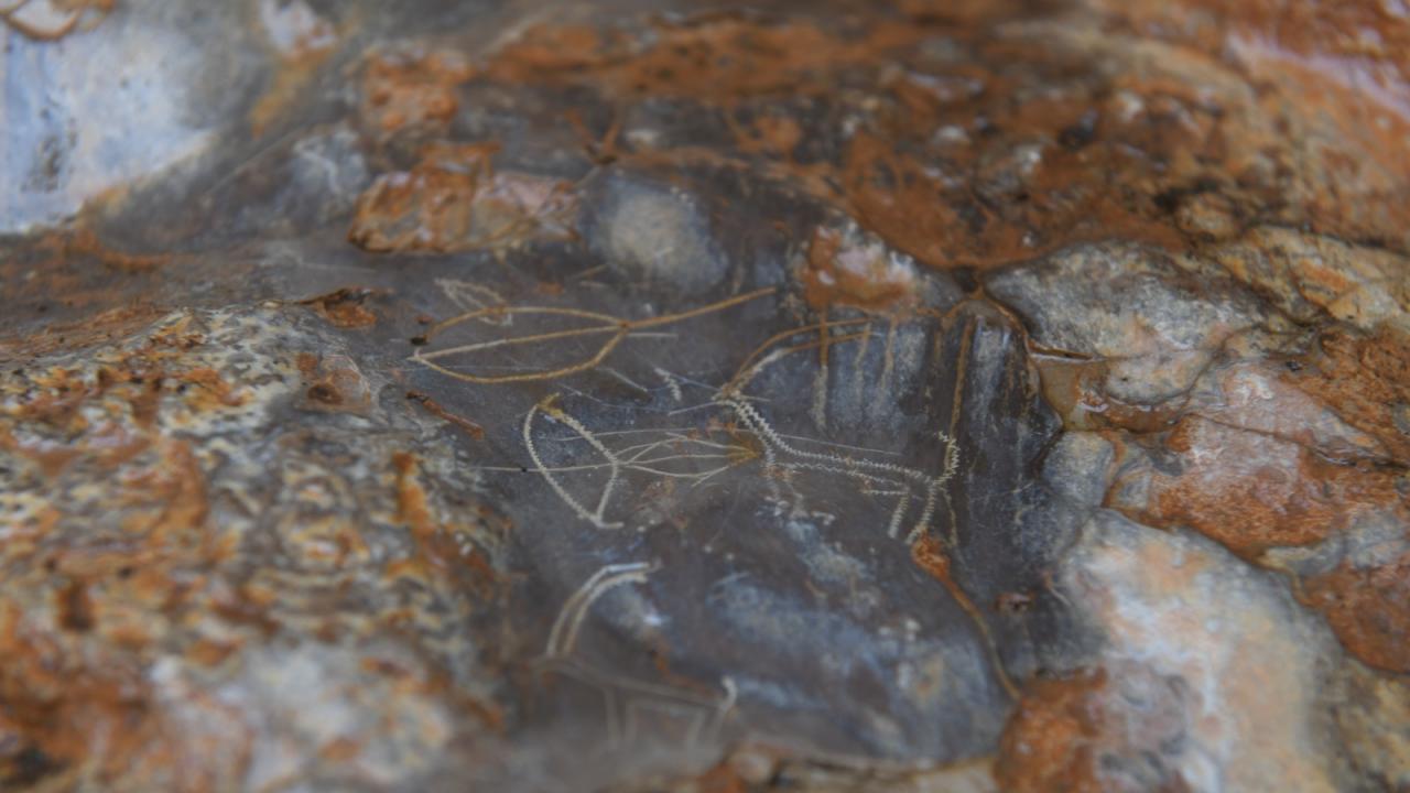 Yenişehir Belediyesi 8 bin yıllık mağara resimleri için harekete geçti