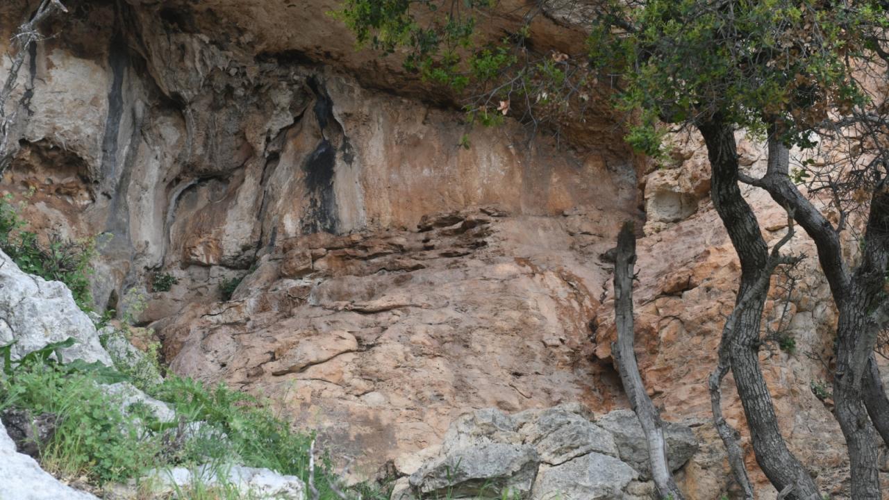 Yenişehir Belediyesi 8 bin yıllık mağara resimleri için harekete geçti