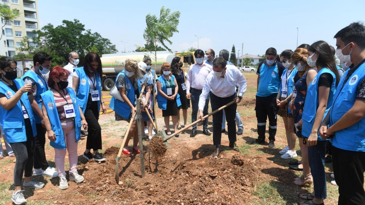 Yenişehir’de jakaranda koruluğu oluşturuldu 