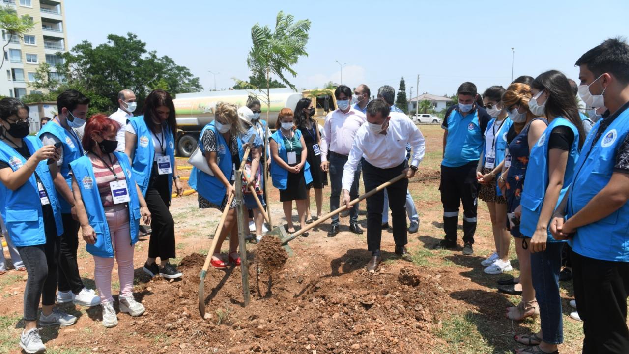 Yenişehir’de jakaranda koruluğu oluşturuldu 