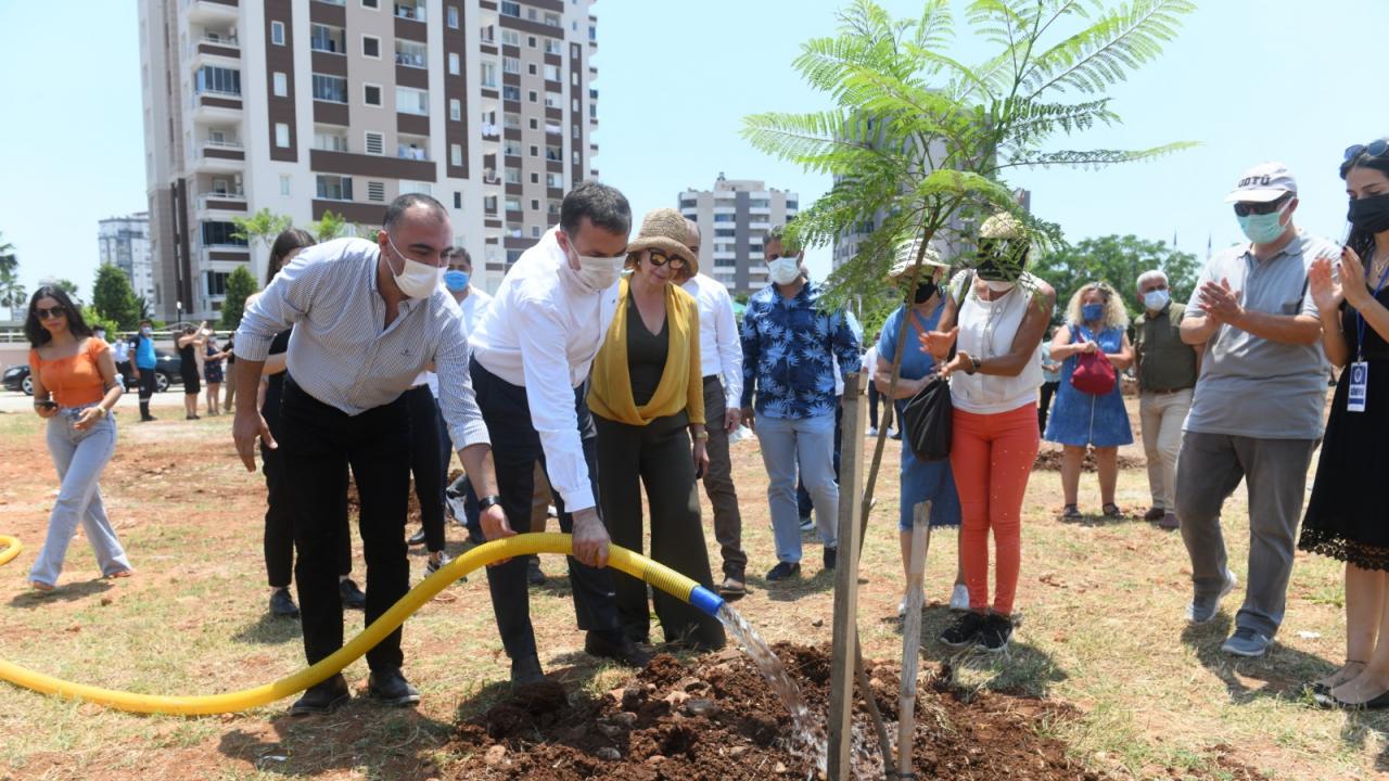 Yenişehir’de jakaranda koruluğu oluşturuldu 