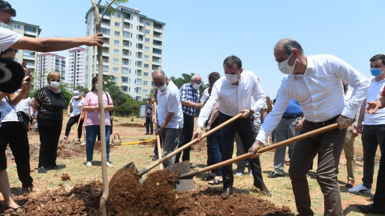 Yenişehir’de jakaranda koruluğu oluşturuldu 