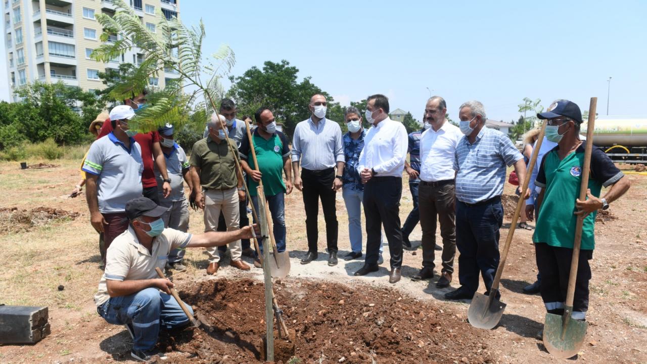 Yenişehir’de jakaranda koruluğu oluşturuldu 