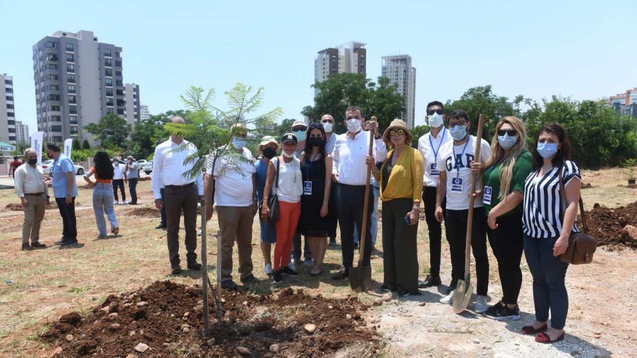 Yenişehir’de jakaranda koruluğu oluşturuldu 