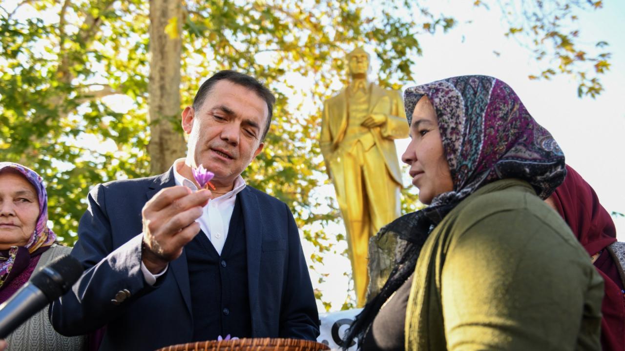 Kilosu 70 bin TL Yenişehir’de ilk hasat 