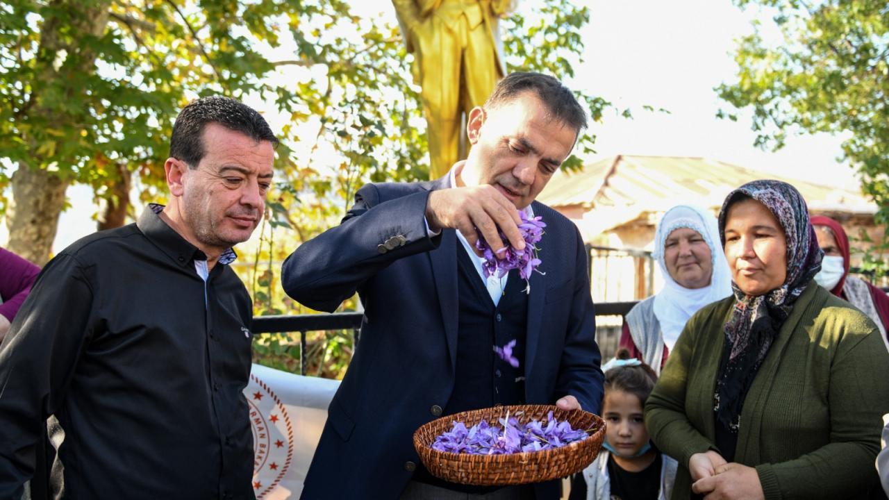Kilosu 70 bin TL Yenişehir’de ilk hasat 