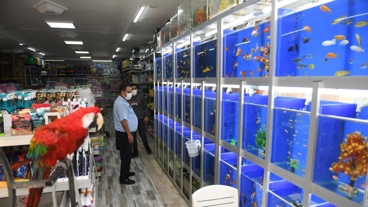 Yenişehir Belediyesi ilçedeki petshopları denetledi