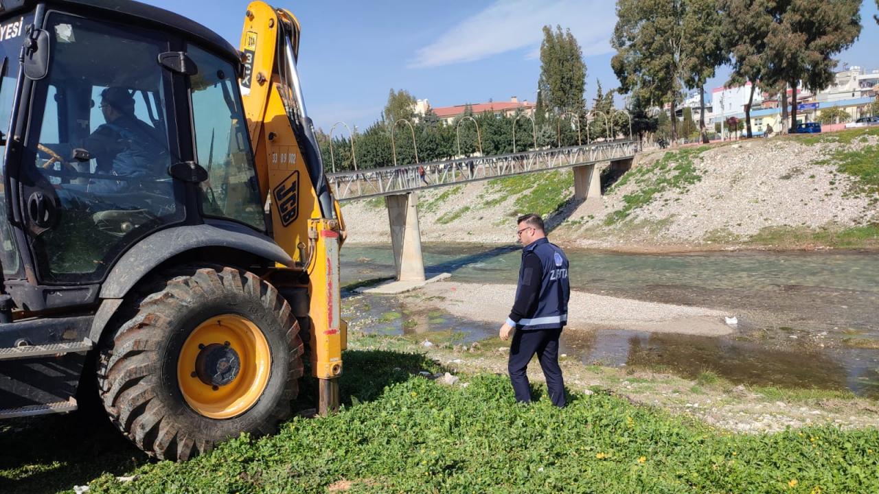 Dere yatağına atılan etler Yenişehir Belediyesi tarafından imha edildi