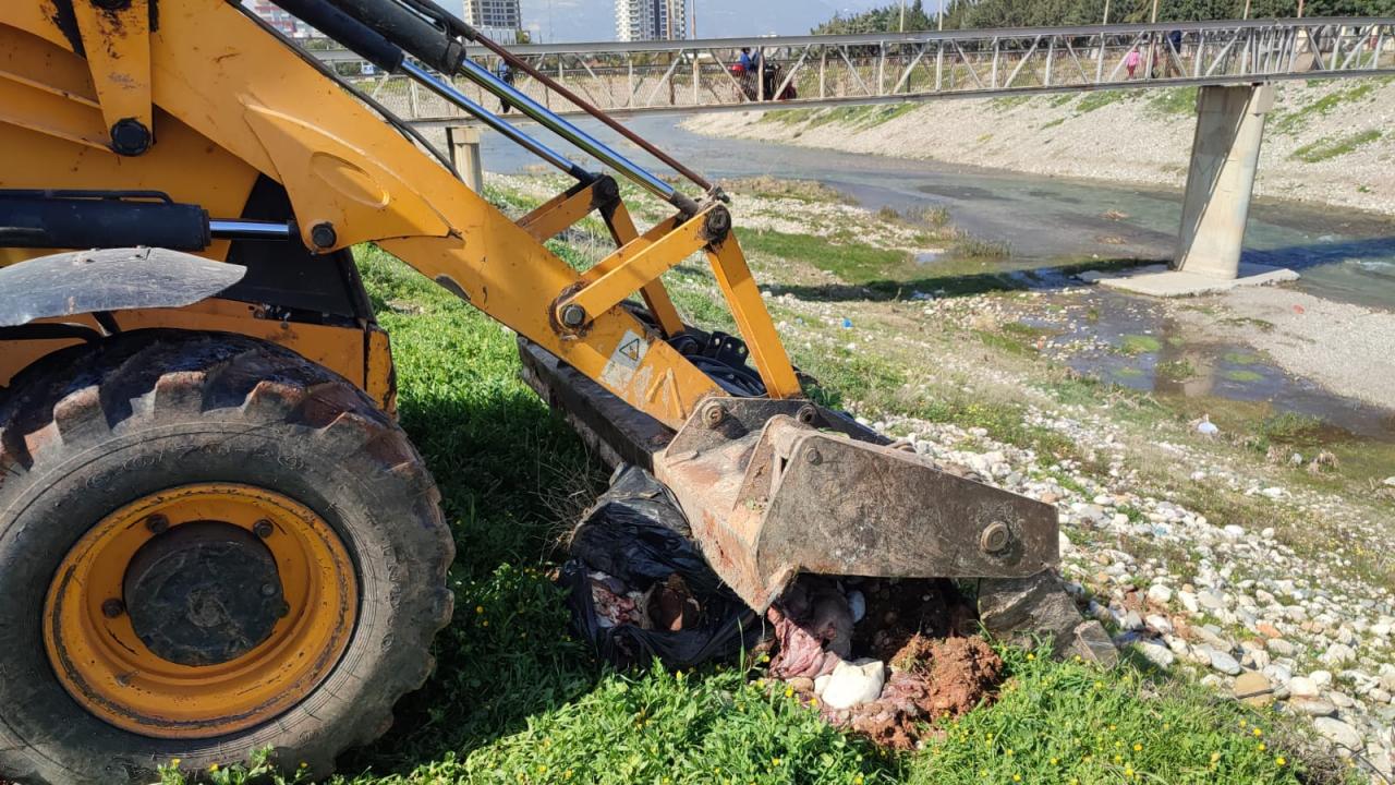 Dere yatağına atılan etler Yenişehir Belediyesi tarafından imha edildi