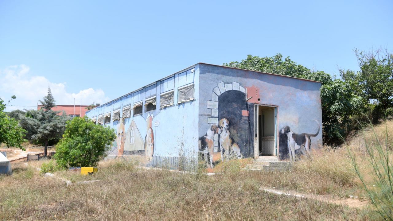 Yenişehir Belediyesi MEÜ’deki hayvan barınağını yeniden düzenleyecek