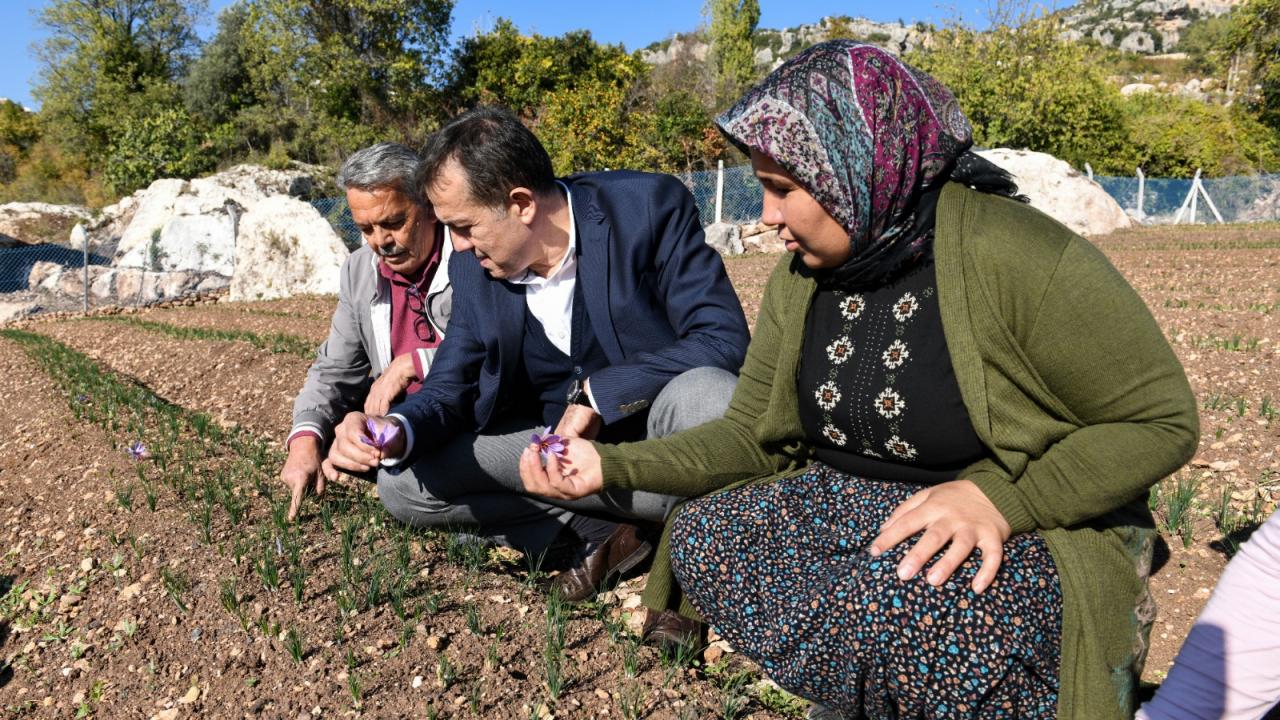 Yenişehir Belediyesi tarımsal danışmanlık hizmeti verecek