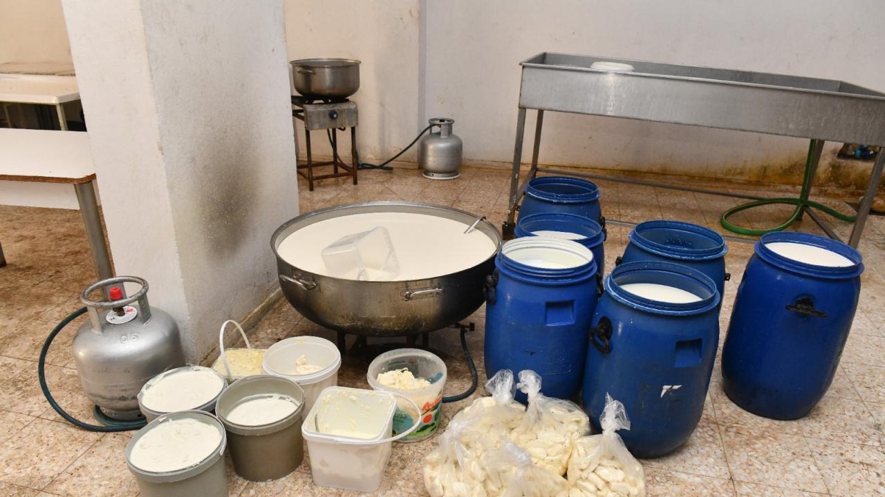 Yenişehir Belediyesinden kaçak peynir imalathanesine baskın