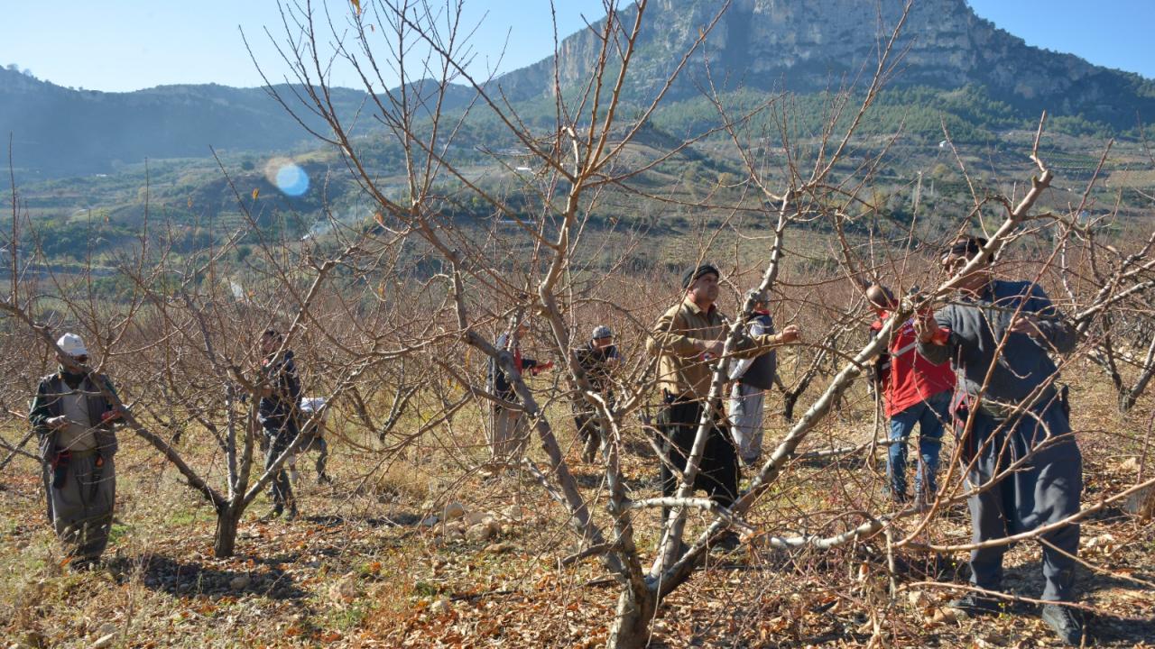 Yenişehir Belediyesi çiftçiye tarlada eğitim veriyor