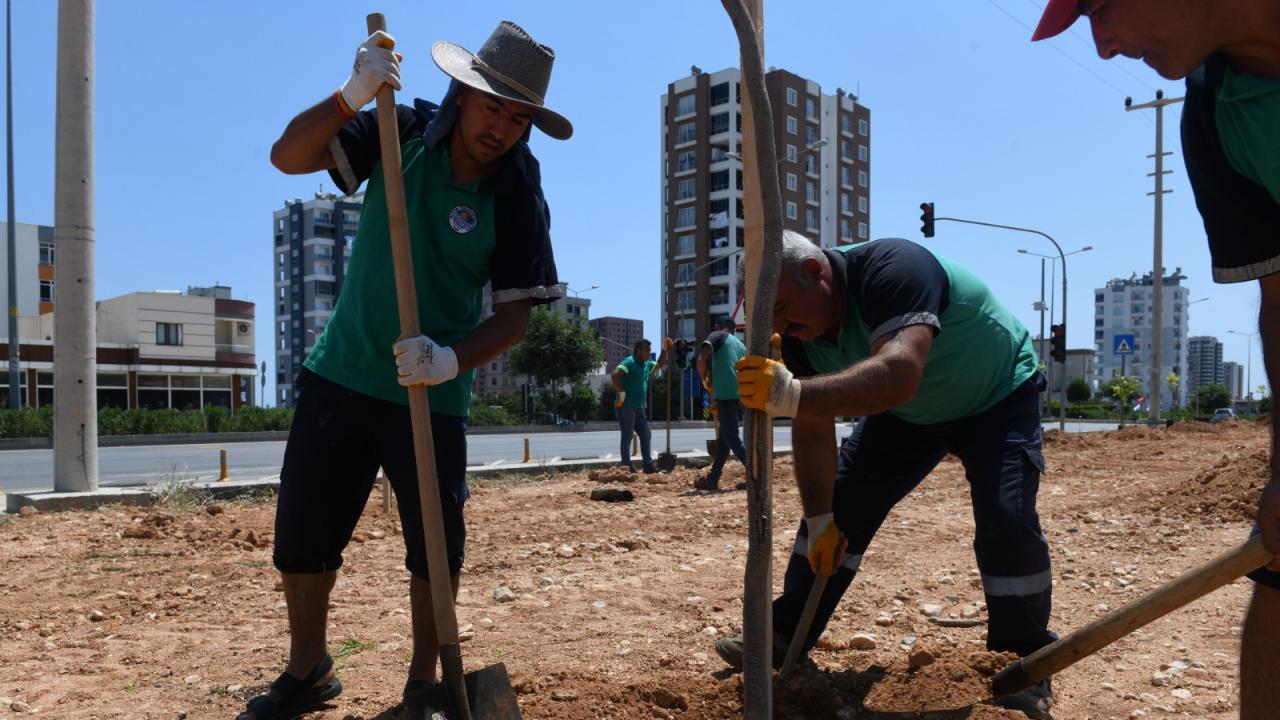Yenişehir Belediyesi ağaçlandırma çalışmalarını sürdürüyor