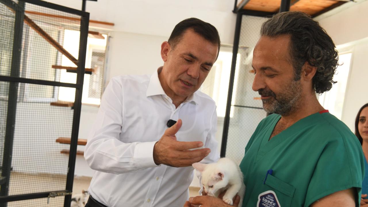 Başkan Özyiğit, “Bakımevimizde sokak hayvanlarını sahiplendirmeye başladık”