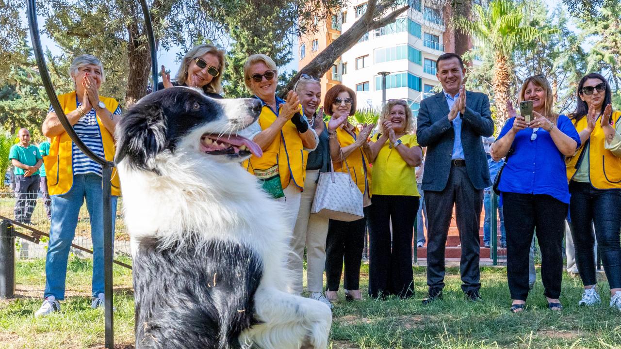 Yenişehir Belediyesinden patili dostlara özel park