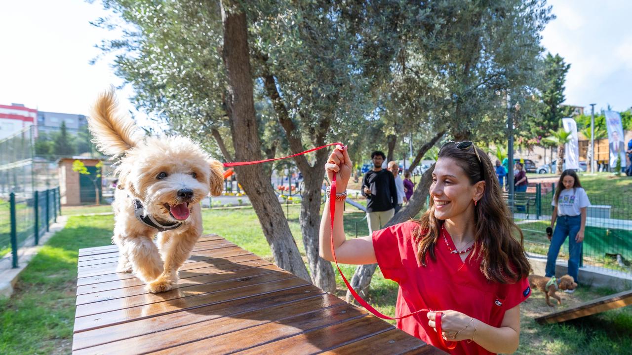 Yenişehir Belediyesinden patili dostlara özel park