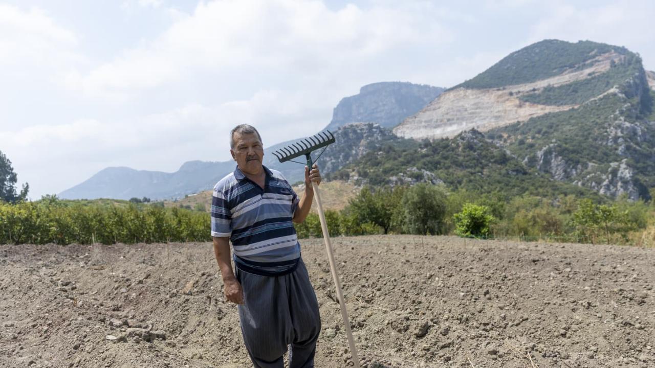 Yenişehir Belediyesinin desteğiyle safran üreticisi sayısı artıyor